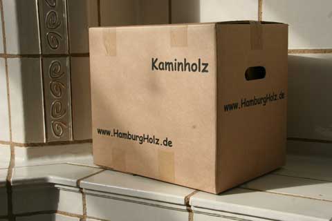 Kaminholz Buch im Karton
